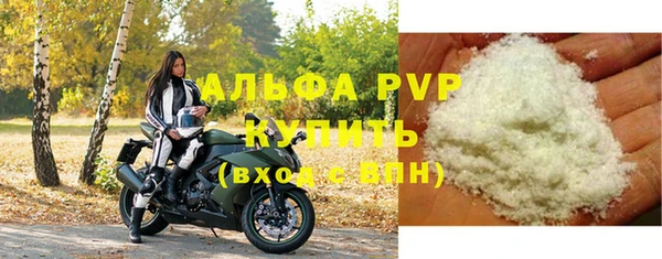 гидра Горняк