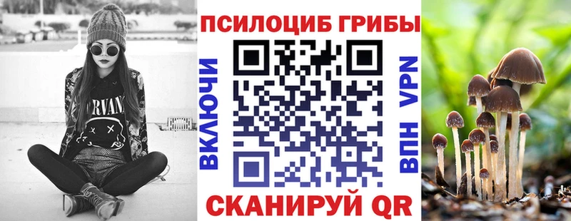 Галлюциногенные грибы прущие грибы  Ершов 